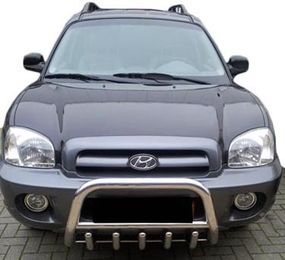 Кенгурятник WT003 (нерж.) для Hyundai Santa Fe 1 2000-2006 гг