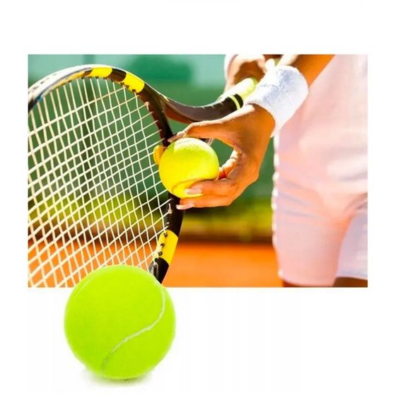 Набір м'ячів для великого тенісу SWDN Tennis Ball NE-TT-12 в чохлі 12 штук | Зображення 2