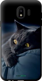 Чохол на Samsung Galaxy J4 2018 Димчастий кіт "825b-1487-2448"
