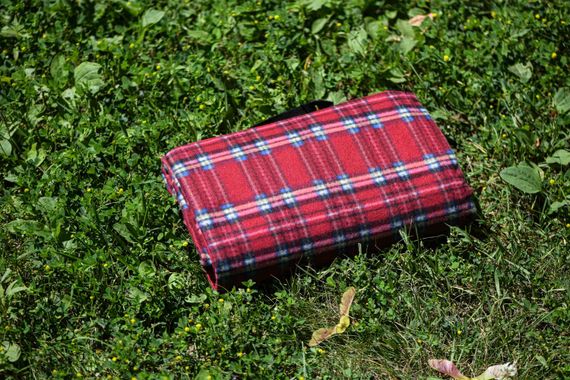 Плед Ardesto Picnic 130х170см, 100% поліестер, клітинка червоний (ART0916RC) | Зображення 5