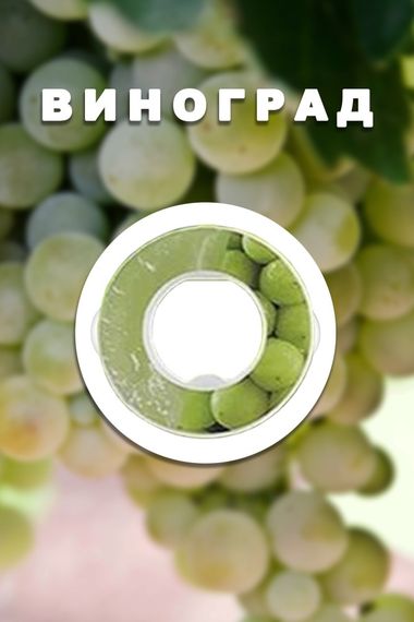 Капсула картридж для пляшки яка змінює смак води Without AirUp зі смаком Виноград