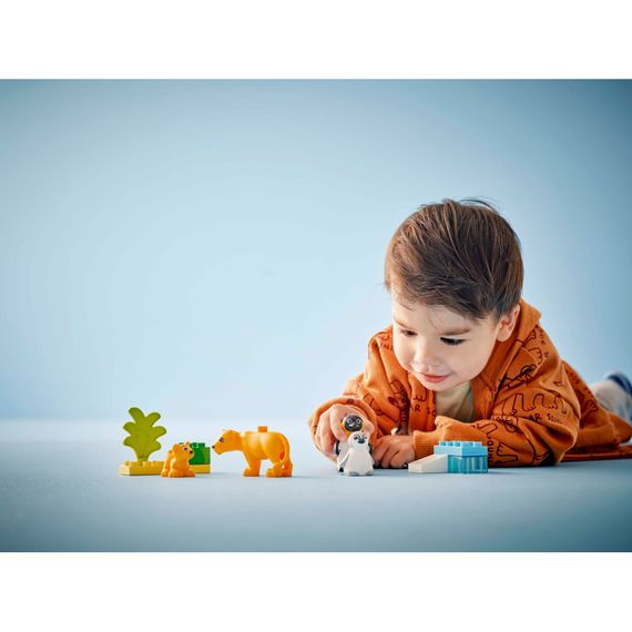 Конструктор LEGO DUPLO Town Сімейства диких тварин: Пінгвіни та Леви (10442) | Зображення 6