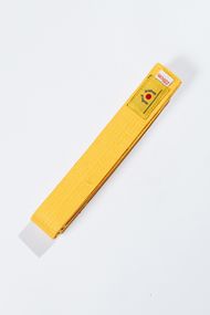 Жовтий пояс для дзюдо ТМ BUDOGI, серія ADVANCED, довжина 300 см