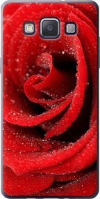 Чехол на Samsung Galaxy A5 A500H Красная роза "529u-73-17620"
