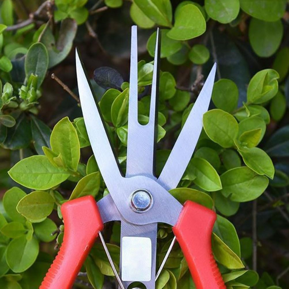Ножиці садові для обрізання зелених насаджень зі зручними червоними ручками, довжина леза 76 мм | Зображення 7