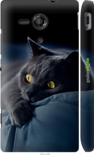 Чохол на Sony Xperia SP M35H Димчастий кіт "825c-280-2448"