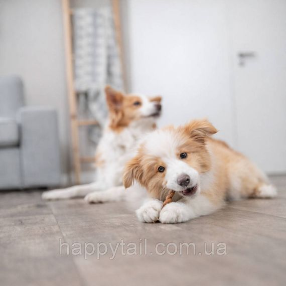 Ласощі для собак Trixie (Тріксі) Косичка жувальна з бичачим пенісом, 15 см (5 шт/уп) | Зображення 2