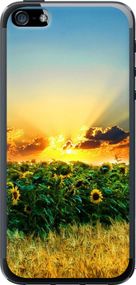 Чехол на iPhone 5s Украина "1601u-21-17620"