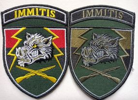 Шеврон 71 бригада - 2шт (цветной+зеленый)