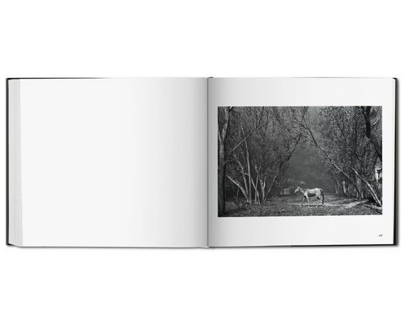 Лучшие фотографы мира книга фотоальбом Себастьяна Рибейру Салгаду про Кувейт Sebastiao Salgado. Kuwait | Зображення 7