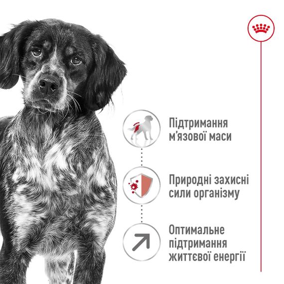 Сухий корм для літніх собак середніх порід Royal Canin Medium Adult 7+, 15 кг | Зображення 1