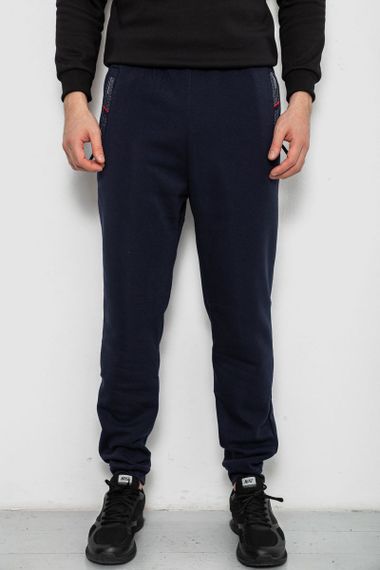 Спортивные штаны мужские на флисе, цвет синий, 244R41558