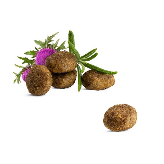 Сухий корм для стерилізованих котів з лососем Happy Cat Sterilised Atlantik Lachs, 10 кг | Зображення 1