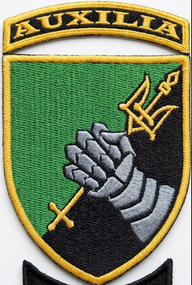 Шеврон 12 ОТБ / AUXILIA