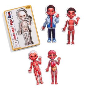 Деревянный пазл-вкладыш "Анатомия человека - мальчик-3" (ПСД262) PSD262 строение тела