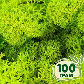 Стабілізований мох ягель Зелений весняний 100 грам