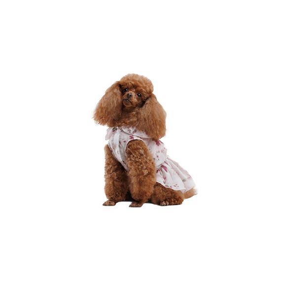 Сукня Pet Fashion Amelia для собак S | Зображення 3