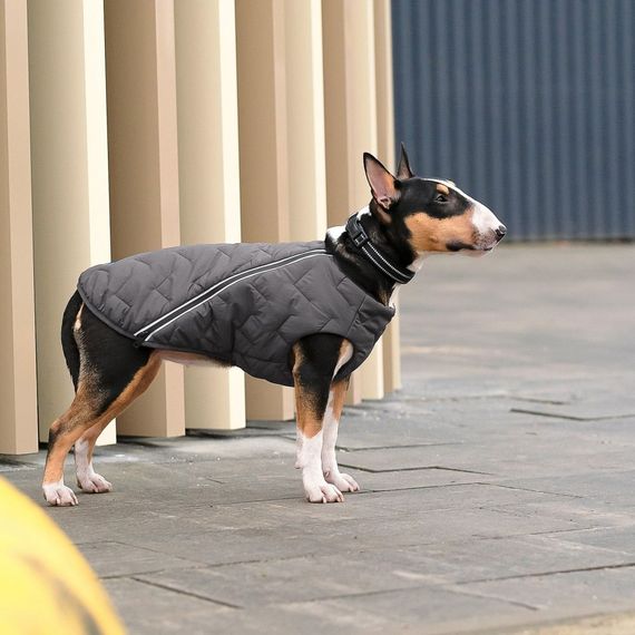 Жилет Pet Fashion E.Vest для собак сірий SМ | Зображення 2