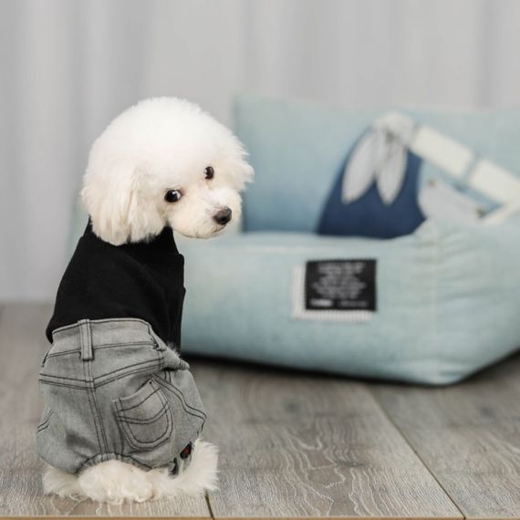 Трикотажный комбинезон для собак Cheepet штанишки из серого джинса Levi, черного цвета | Зображення 4