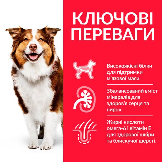 Hill’s Science Plan Mature Adult 7+ Medium Breed Сухий корм для зрілих собак середніх порід від 7 років, з куркою, 14 кг | Зображення 1
