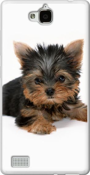 Чехол на Huawei Honor 3C Щенок йоркширского терьера "931u-307-17620"