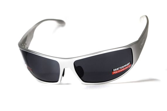 Окуляри захисні Global Vision BAD-ASS-1 Silver (gray) чорні в металевій оправі | Зображення 5
