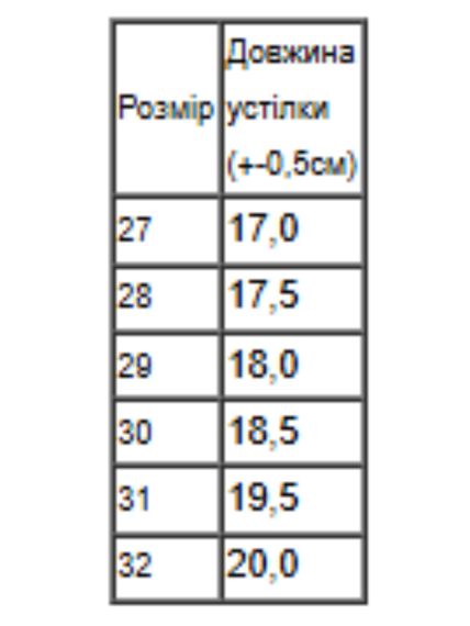 Демісезонні черевики для хлопчика на флісі Носи своє 31 Темно-синій (p-18283-217475) | Зображення 1
