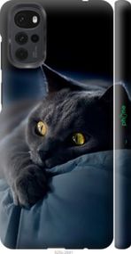 Чохол на Motorola G22 Димчастий кіт "825m-2681-2448"