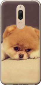 Чехол на Meizu M6T Boo 2 "890u-1536-17620"
