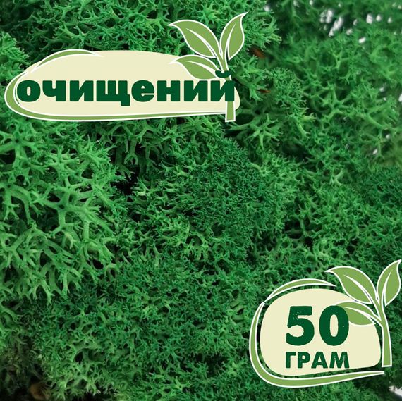 Очищений стабілізований мох ягель Зелений трав'яний темний 50 грам