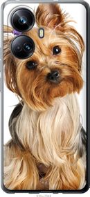 Чехол на Realme 10 Pro Plus Йоркширский терьер с хвостиком "930u-2944-17620"