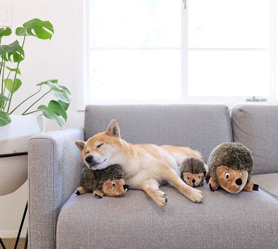 Іграшка для собак OutwardHound Hedgehogz, 18 см | Зображення 4
