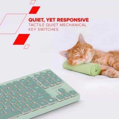Клавиатура Canyon OnType 10 TKL Mechanical Silent Low-profile USB UA Green (CNS-HKB10GR) | Зображення 1
