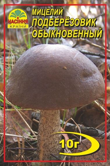 Підберезник 10 г