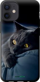 Чохол на iPhone 12 Mini Димчастий кіт "825b-2071-2448"