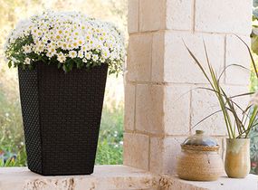 Горщик для квітів (кашпо) Keter (Кетер) Rattan Style Planter M (17192301) Коричневий