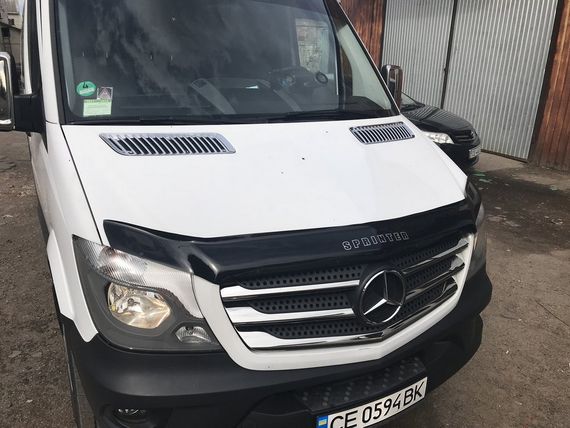 Накладка на охолодження (2 шт., ABS) для Mercedes Sprinter 2006-2018 рр | Зображення 6