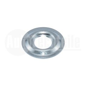 Шайба под форсунку Citroen Jumper/Jumpy/Berlingo / Peugeot Boxer/Expert/Partner 1.9/2.5D 94-11 (7x13,5x1,2),