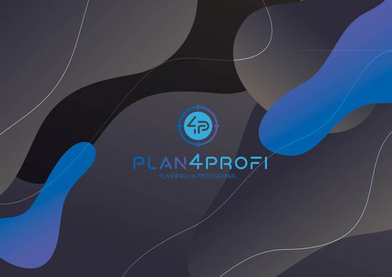 Планинг 4Profi Planning for professionals  формат A3 Недатированный годовой в линию 901104