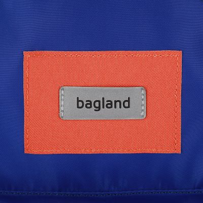 Рюкзак шкільний Bagland Stylish S 8л електрик (0055469) (1119620750) | Зображення 5