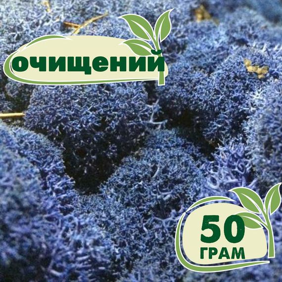 Очищений стабілізований мох ягель Синій блакитний 50 грам
