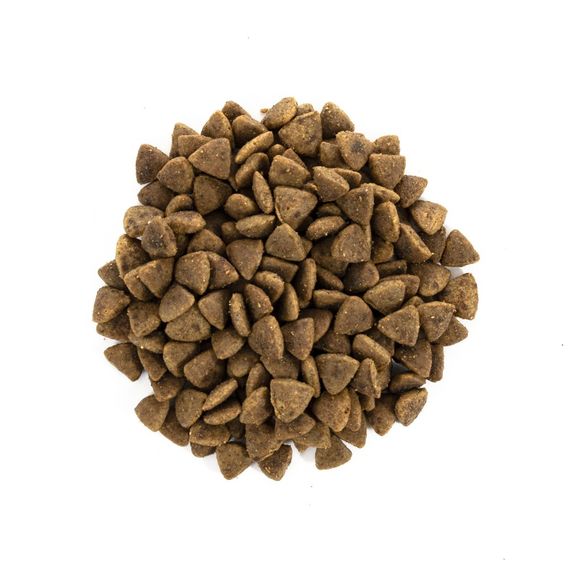 Корм сухий Brit Care Cat Grain Free Adult Activity Support для вуличних та дорослих котів філе індички та курки 2 кг | Зображення 1