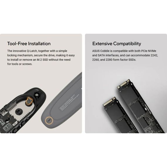 Кишеня зовнішня ASUS SSD PCIe NVMe M.2 2230/2242/2260/2280 USB Type-C 3.2 Gen 2x1 grey (90DD02R6-M09000) | Зображення 1