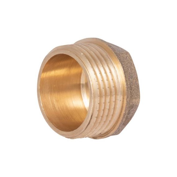 Заглушка Thermo Alliance Standart 1" НР SD40325