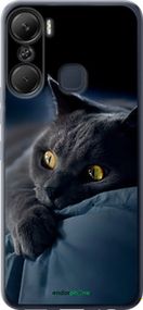Чохол на Infinix Hot 12 Pro Димчастий кіт "825u-2868-2448"