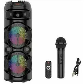 Переносная Bluetooth-колонка ZQS8220S 20 Вт 8” с микрофоном и пультом акустическая система для караоке Черный