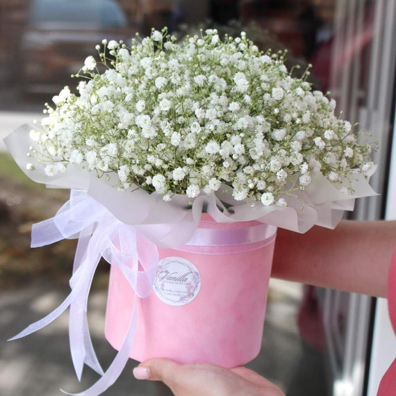 Насіння Гіпсофіла біла 0,5 г (Насіння країни) | Зображення 2