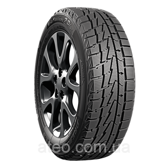 Зимние шины PREMIORRI ViaMaggiore Z Plus 195/65R15 91H | Зображення 2