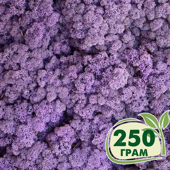 Стабилизированный мох ягель Nordic moss Эрика 250 грамм