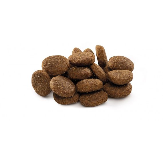 Корм сухий Brit Premium Dog Junior XL для цуценят і молодих собак гігантських порід від 1 до 30 місяців вагою 45-90 кг з кур | Зображення 1